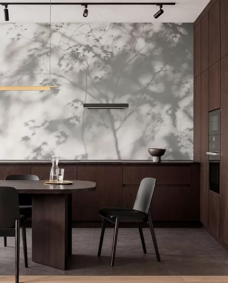 wall murals Shadow on the wall u79829
