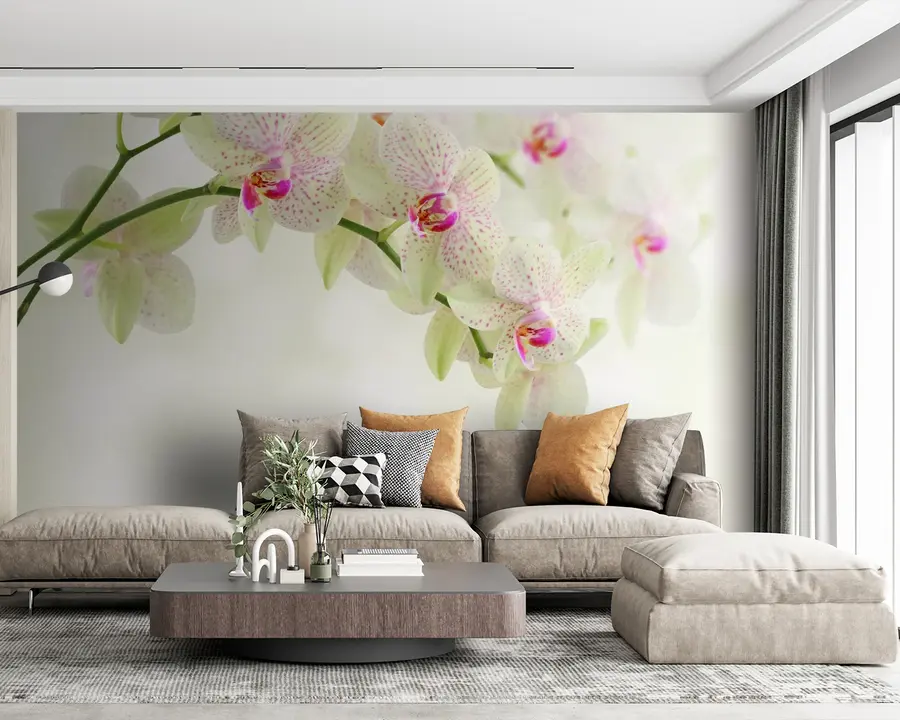 wall murals Flower, plant e water u56335
