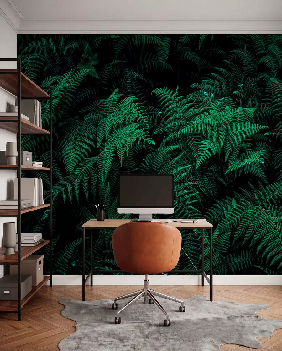 wall murals Fern u73636