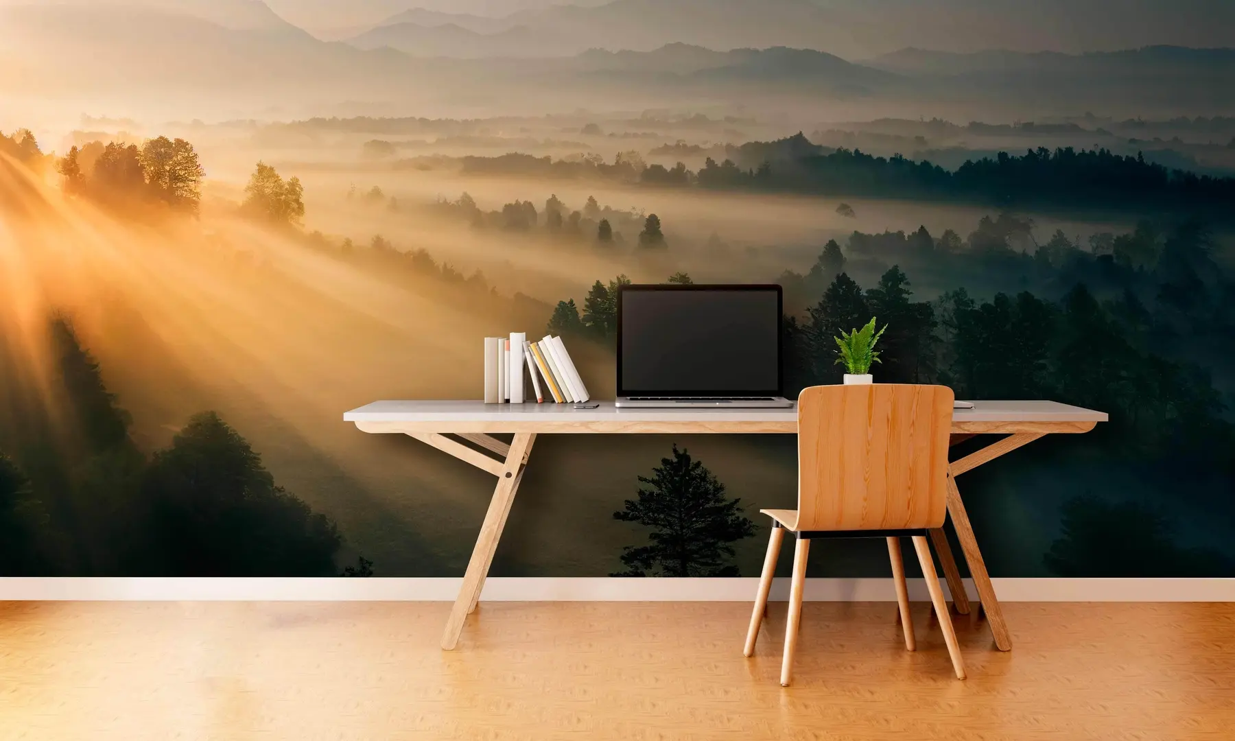wall murals Rays of the sun and foggy forest u73864