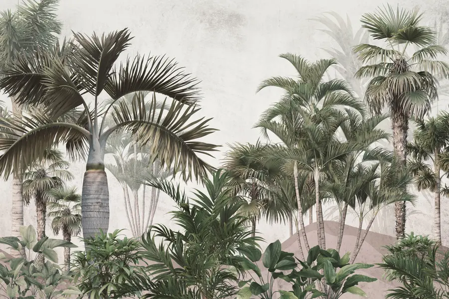 wall murals Palm trees and tropics u73805