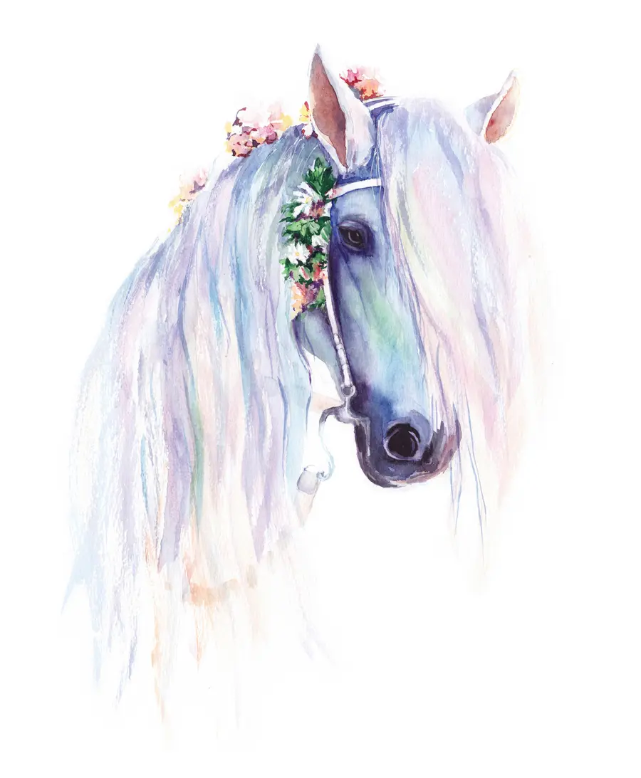 wall murals Blue horse with flowers in a mane u93591