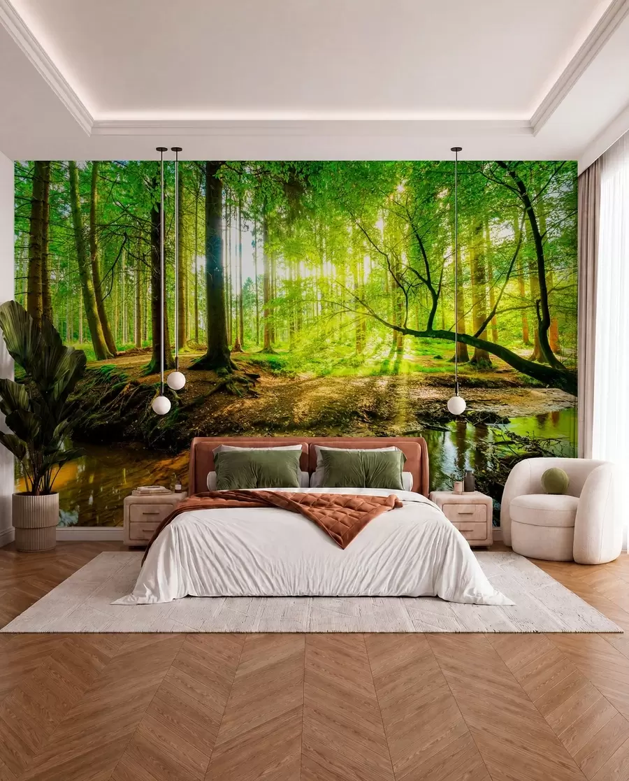 wall murals Transparency of the forest stream u93621