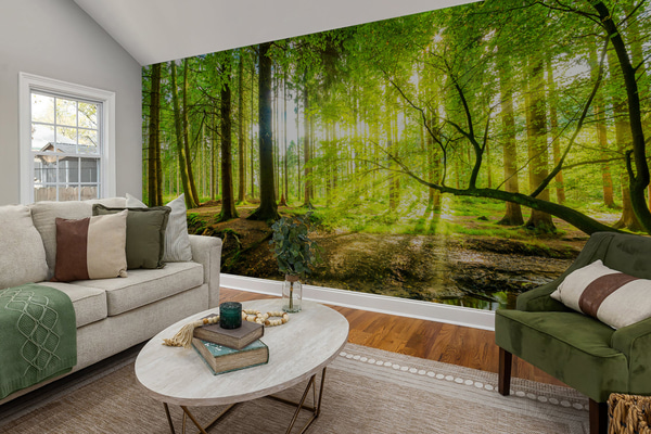 Wallpapers Transparency of the forest stream, Wall Murals Nature, u93621 : Uwalls.ie