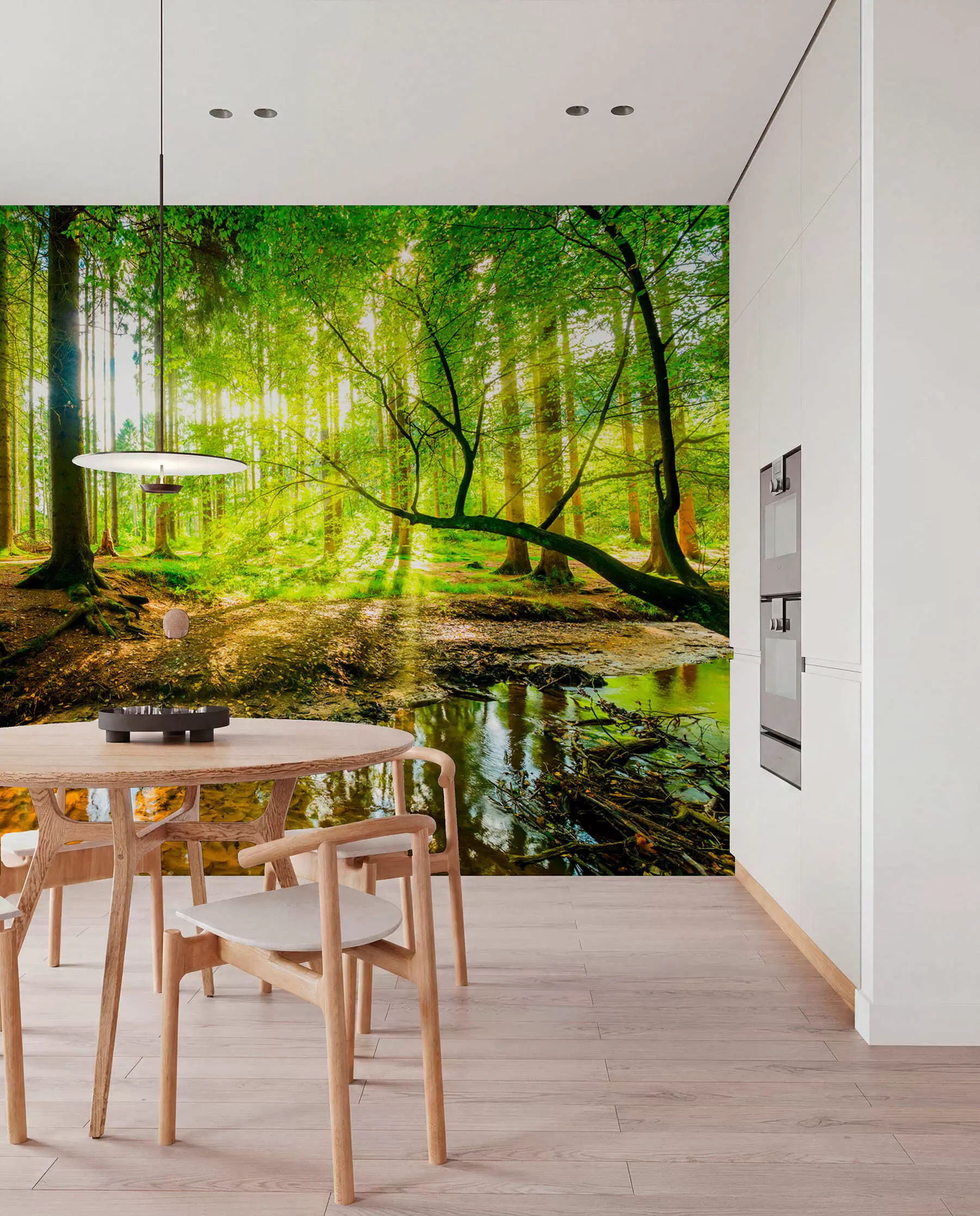 wall murals Transparency of the forest stream u93621