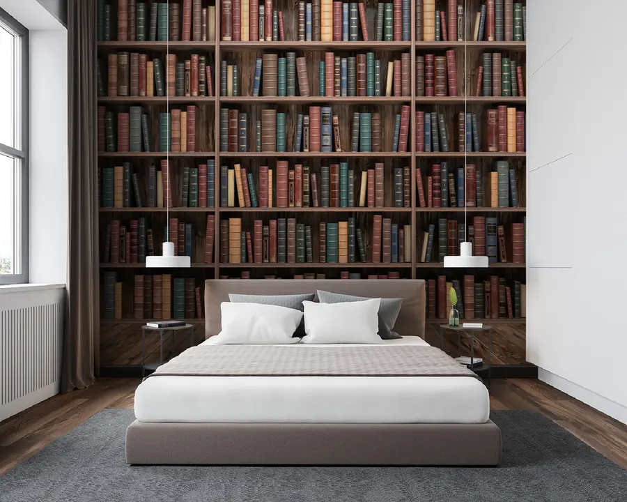 wall murals Impressive Library u93501