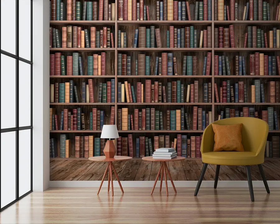 wall murals Impressive Library u93501