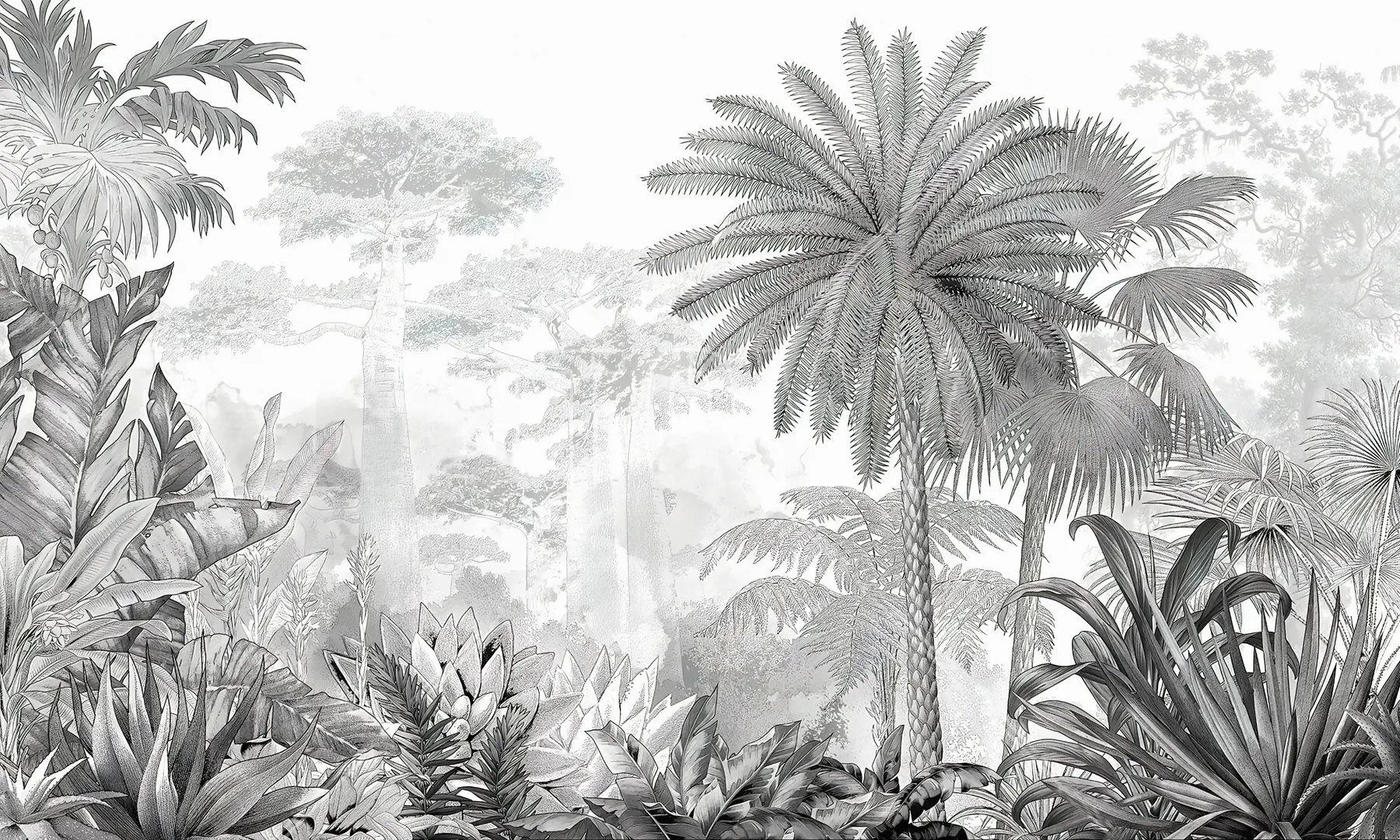wall murals Tropics. Ink drawing u59041