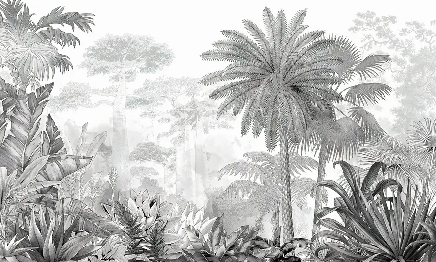 wall murals Tropics. Ink drawing u59041