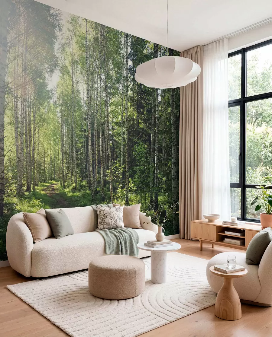 wall murals Birches in Green Light u74235