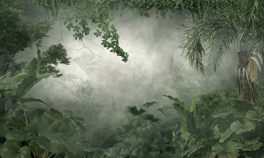 wall murals Mysterious jungle u74409