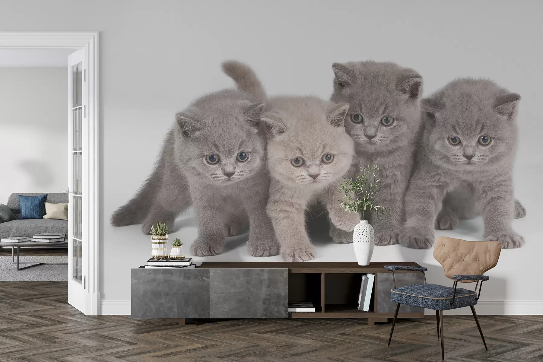 wall murals Eye, cat and carnivore u55076