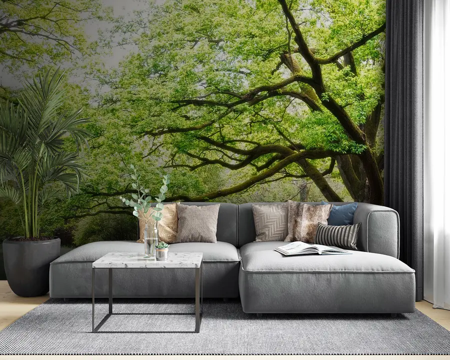 wall murals Plant, green and natural landscape u55659