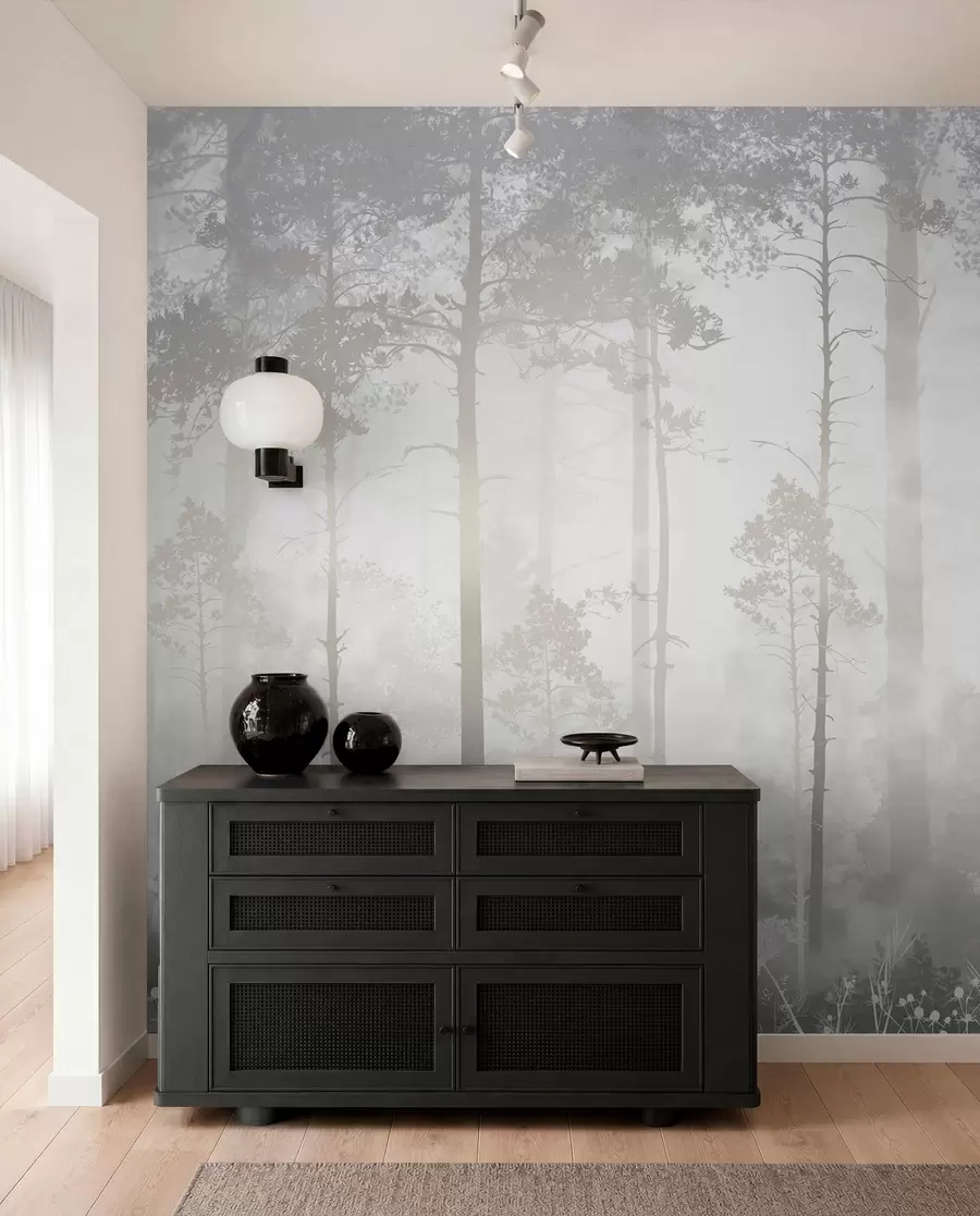 wall murals Forest in the fog u94439