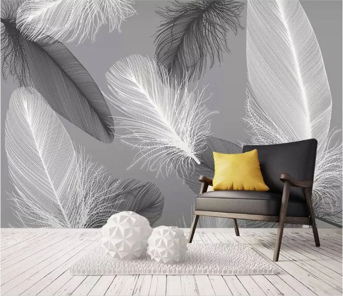 wall murals White and black feathers u04919