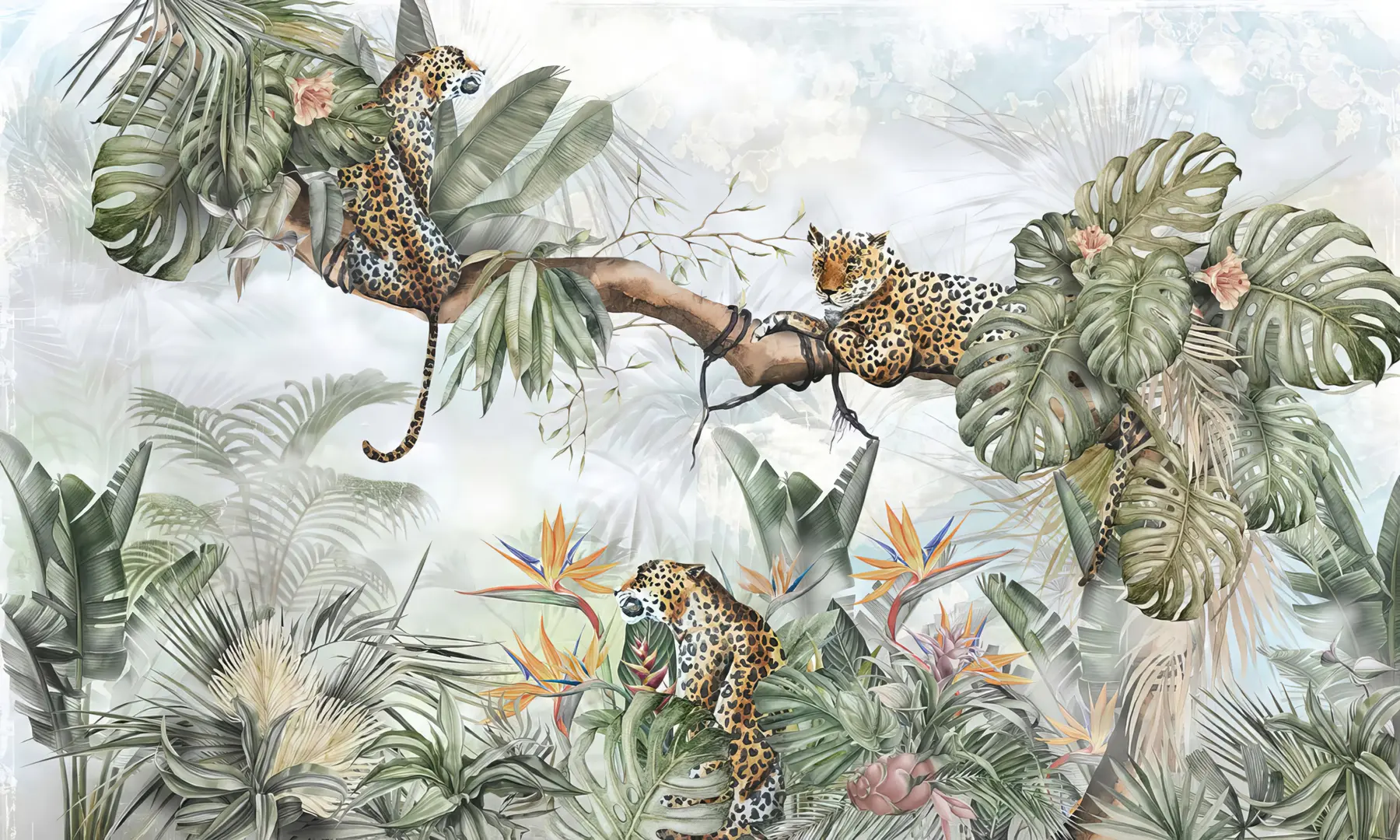 wall murals Tigers in the tropics u95709