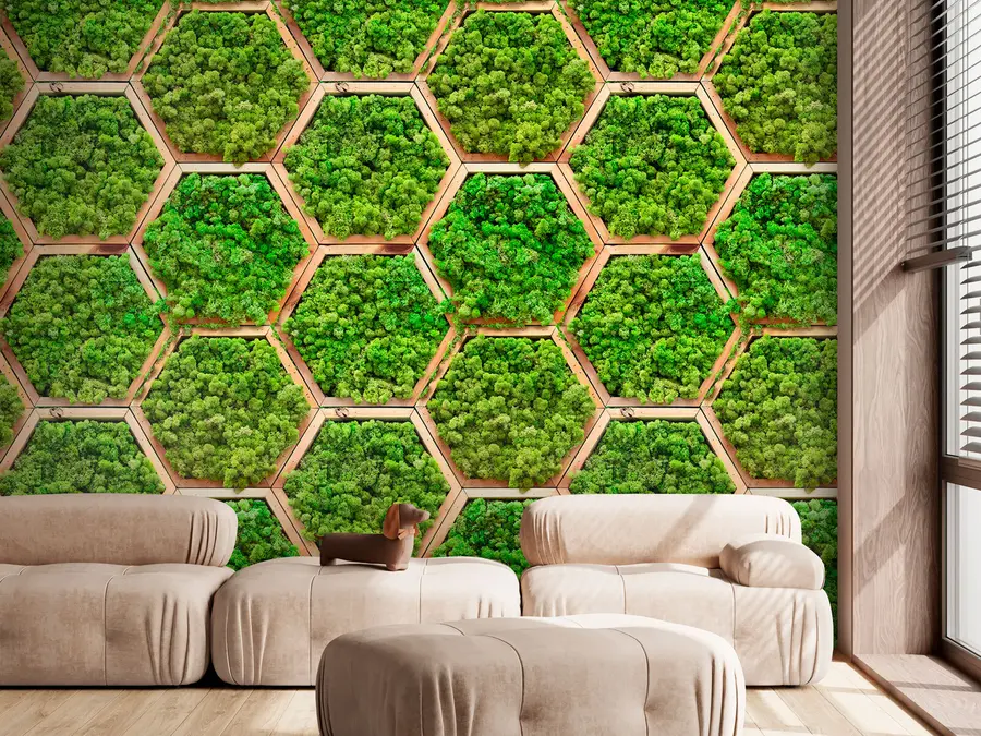 wall murals Moss flower modules in hexagonal wooden frames u95502