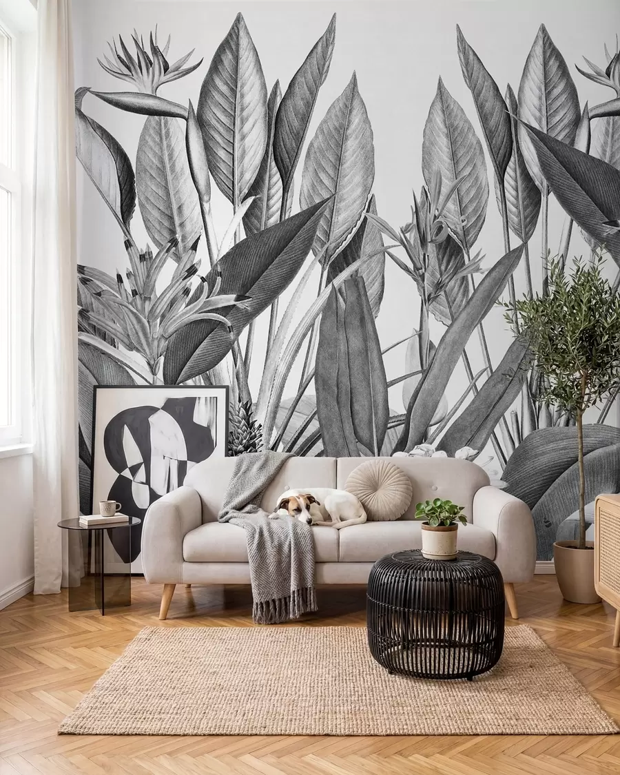 wall murals Tropical jungle plants black and white color u96833