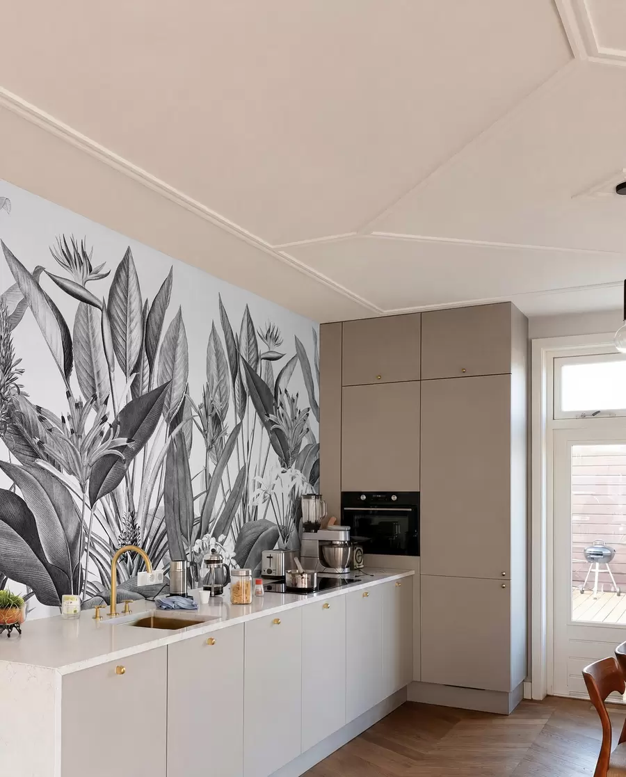 wall murals Tropical jungle plants black and white color u96833