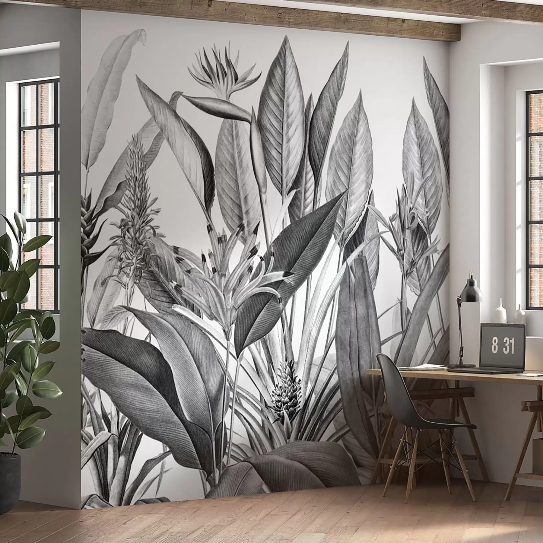 wall murals Tropical jungle plants black and white color u96833