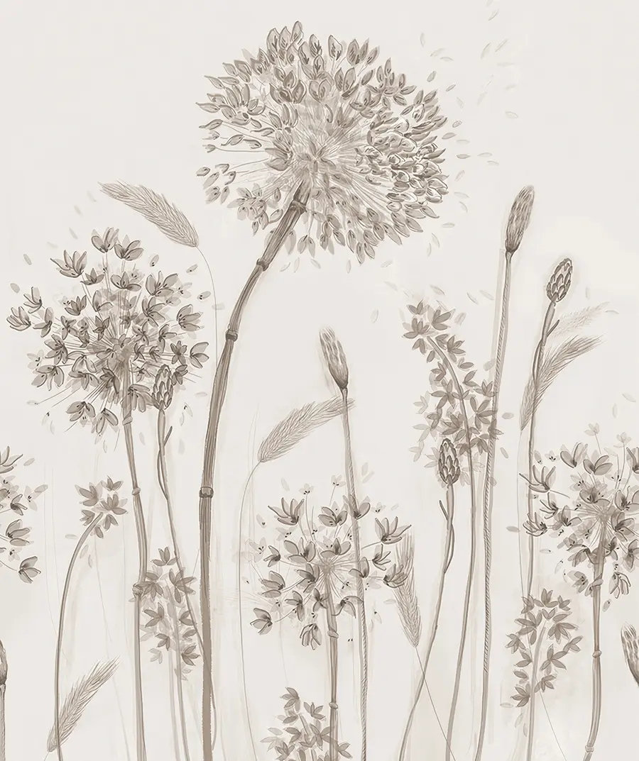 wall murals Large meadow flowers of dandelions monochrome style loft minimalism u96934