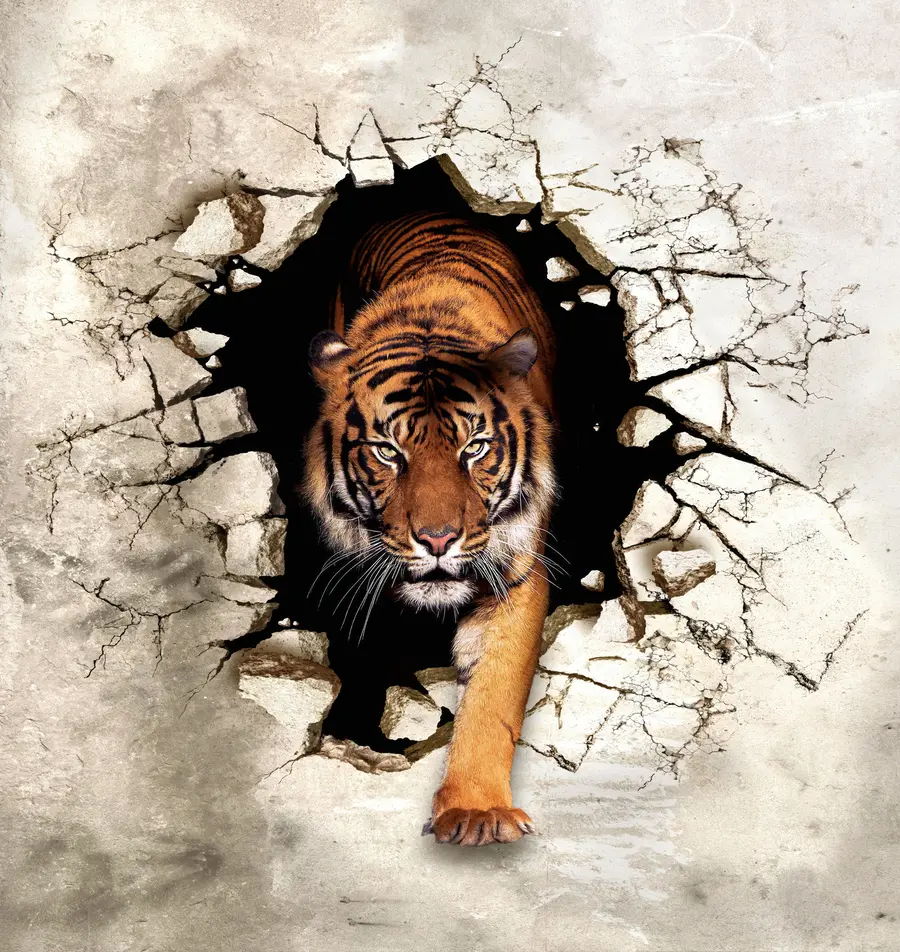 wall murals 3D tiger u97031