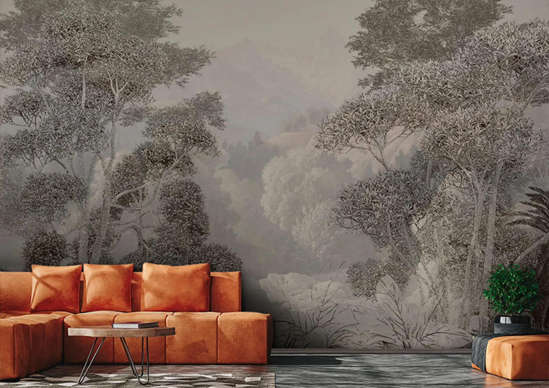 wall murals Tropical forest in gray tones u97396