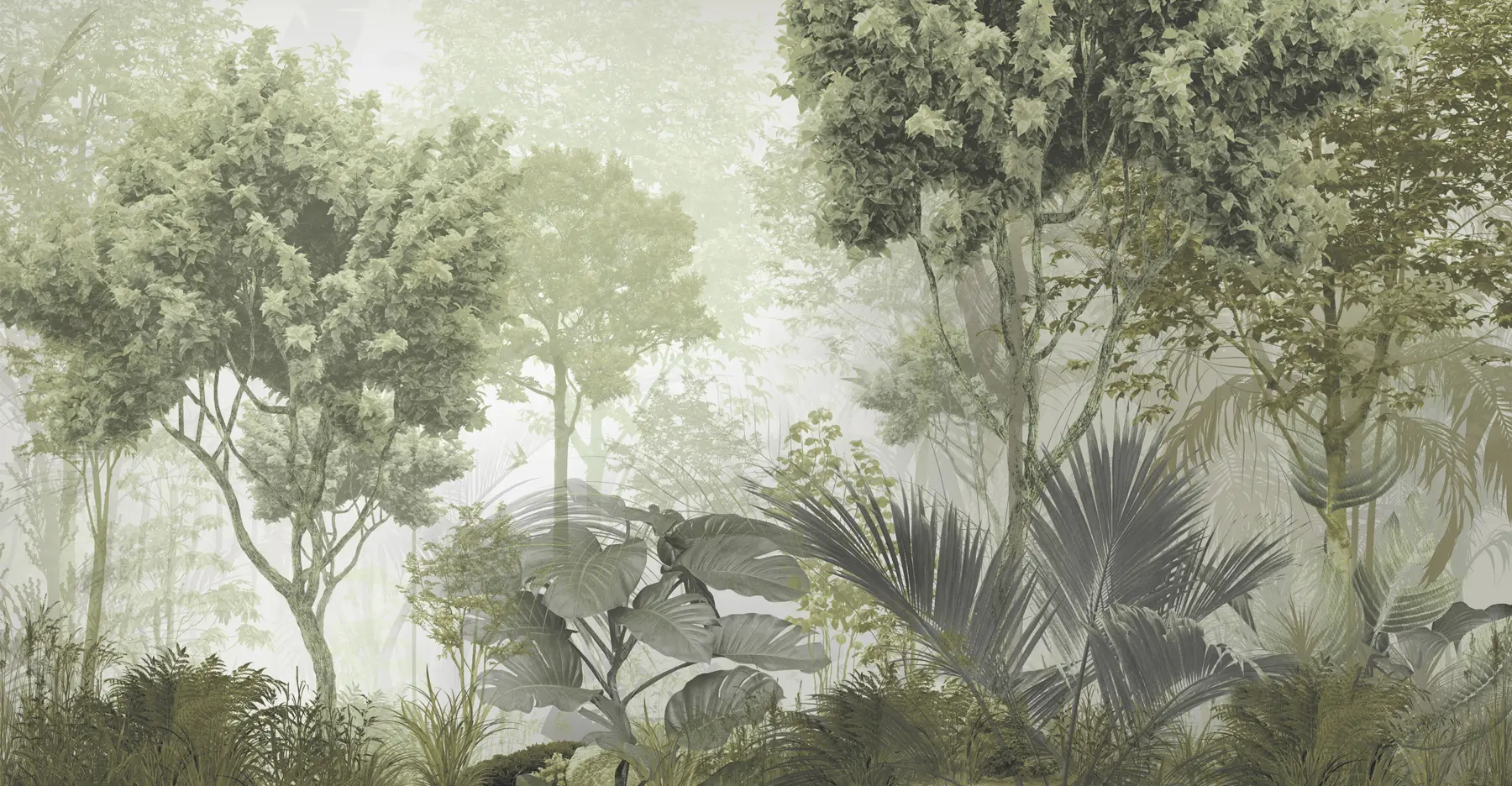 wall murals Morning in the depths of the forest u97409