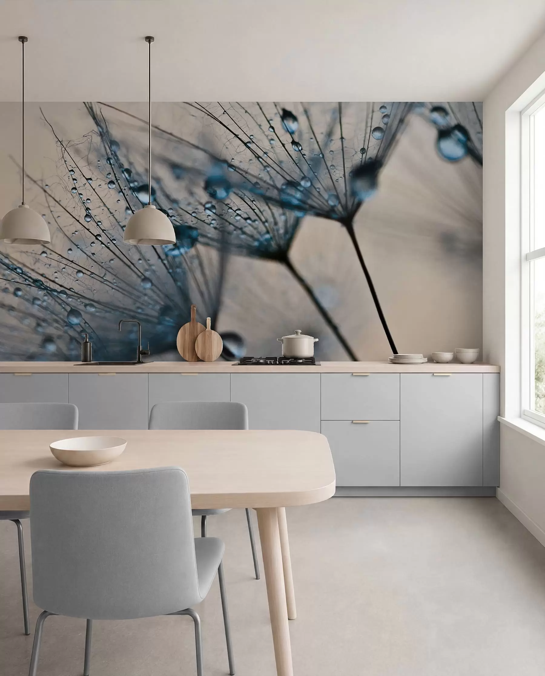 wall murals Dandelions with blue water drops u57557v1