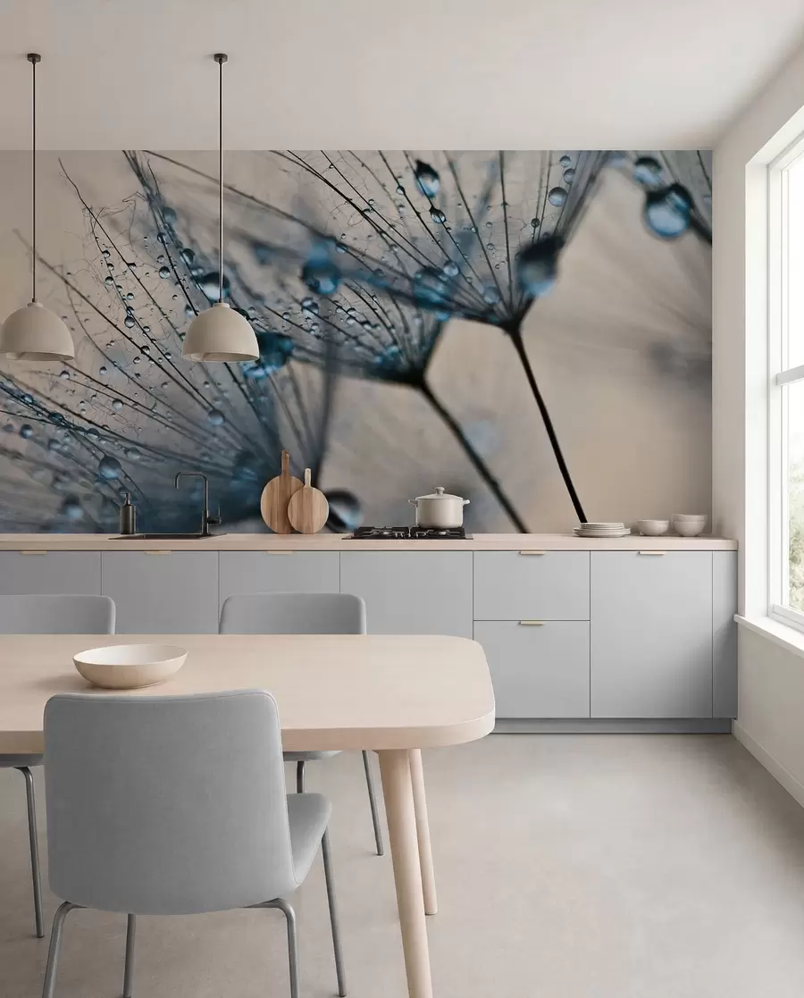 wall murals Dandelions with blue water drops u57557v1