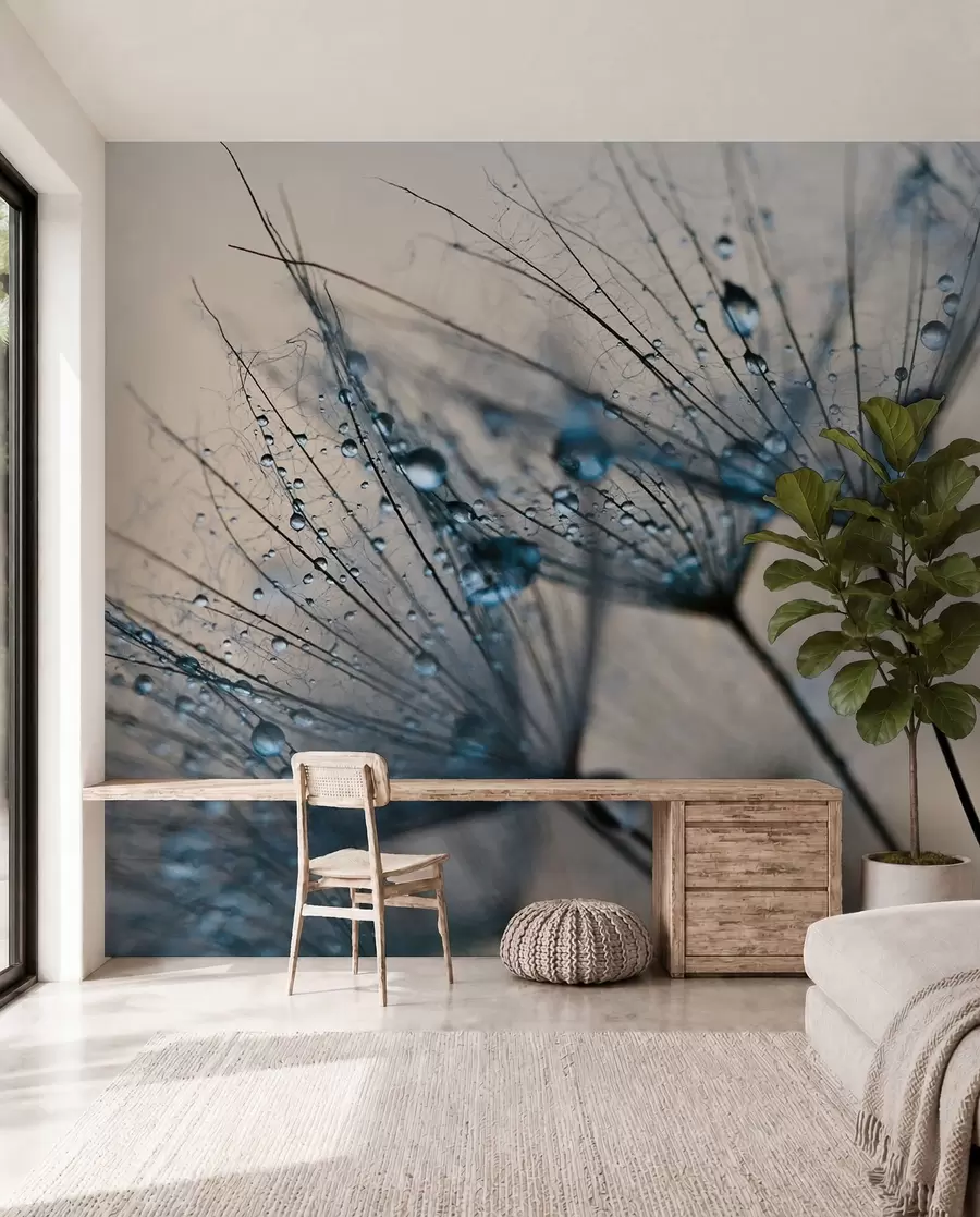 wall murals Dandelions with blue water drops u57557v1