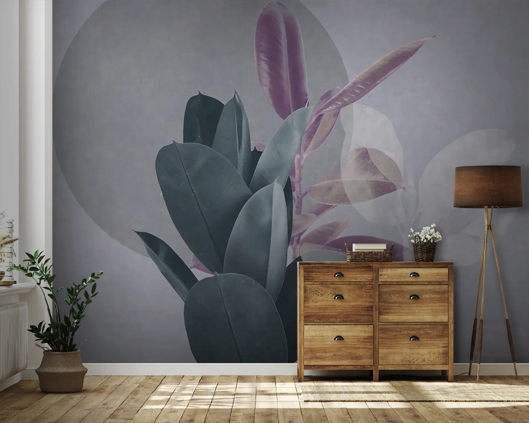 wall murals Ficus on a background of a grunge wall in gray tones u71334v3