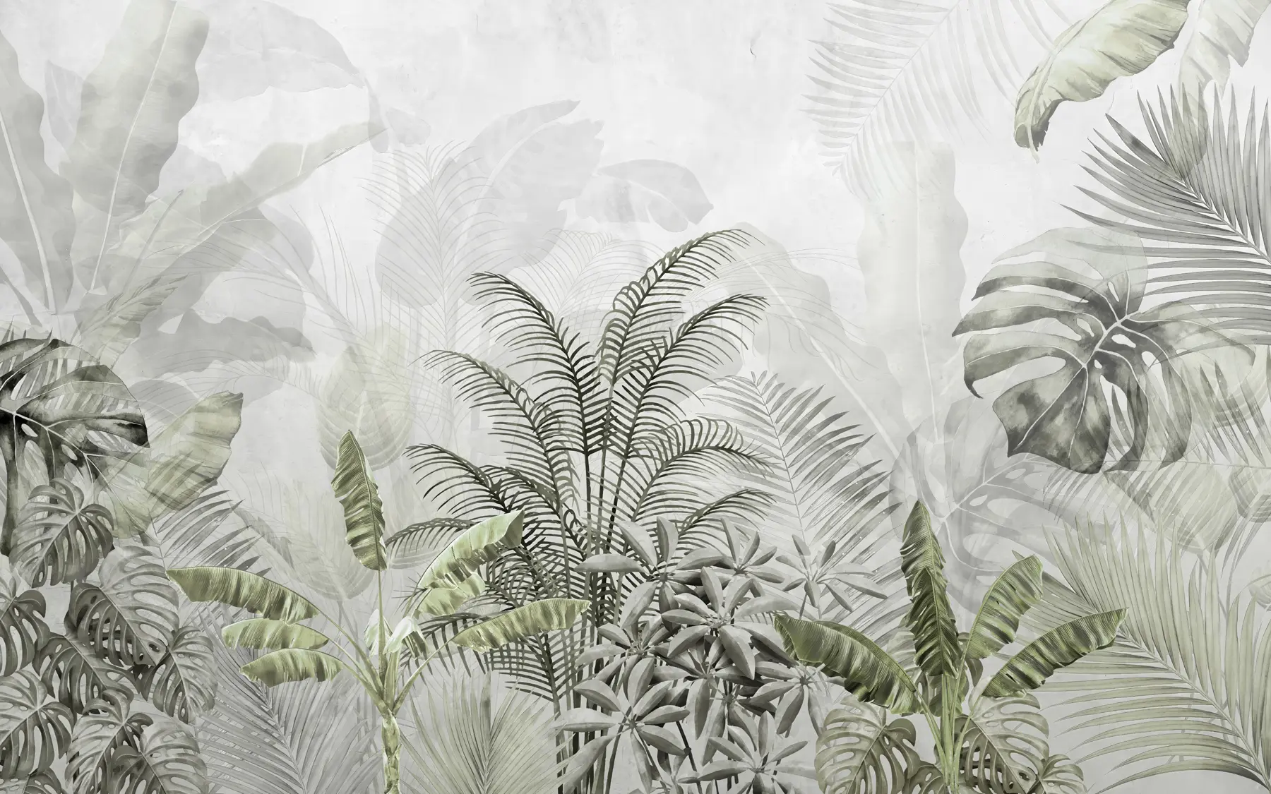 wall murals Palm trees in gray color in green colors u71284v3