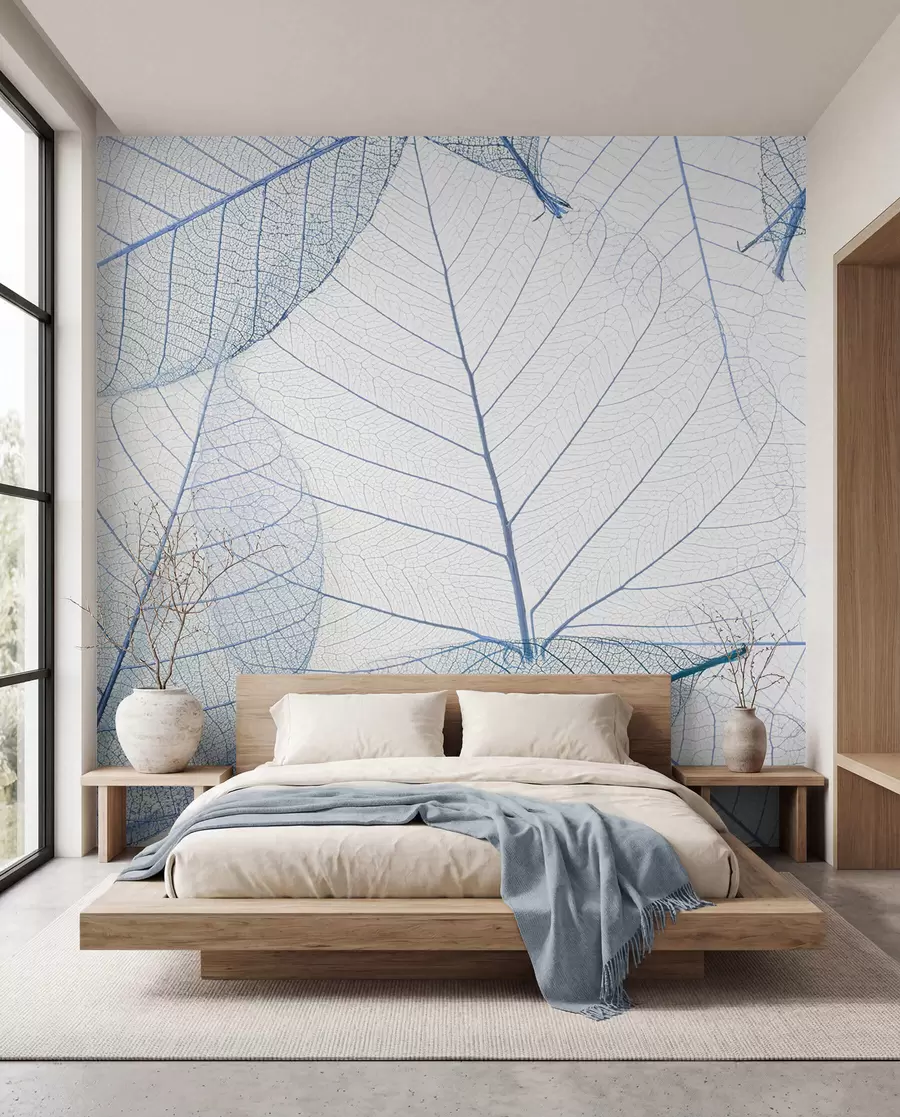wall murals Transparent leaves in blue colors u24439v1