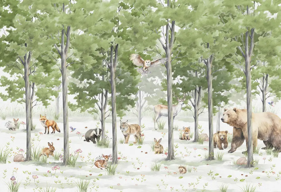 wall murals Forest with animals u97741