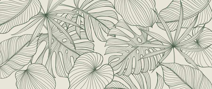 wall murals titans of the tropics u98420