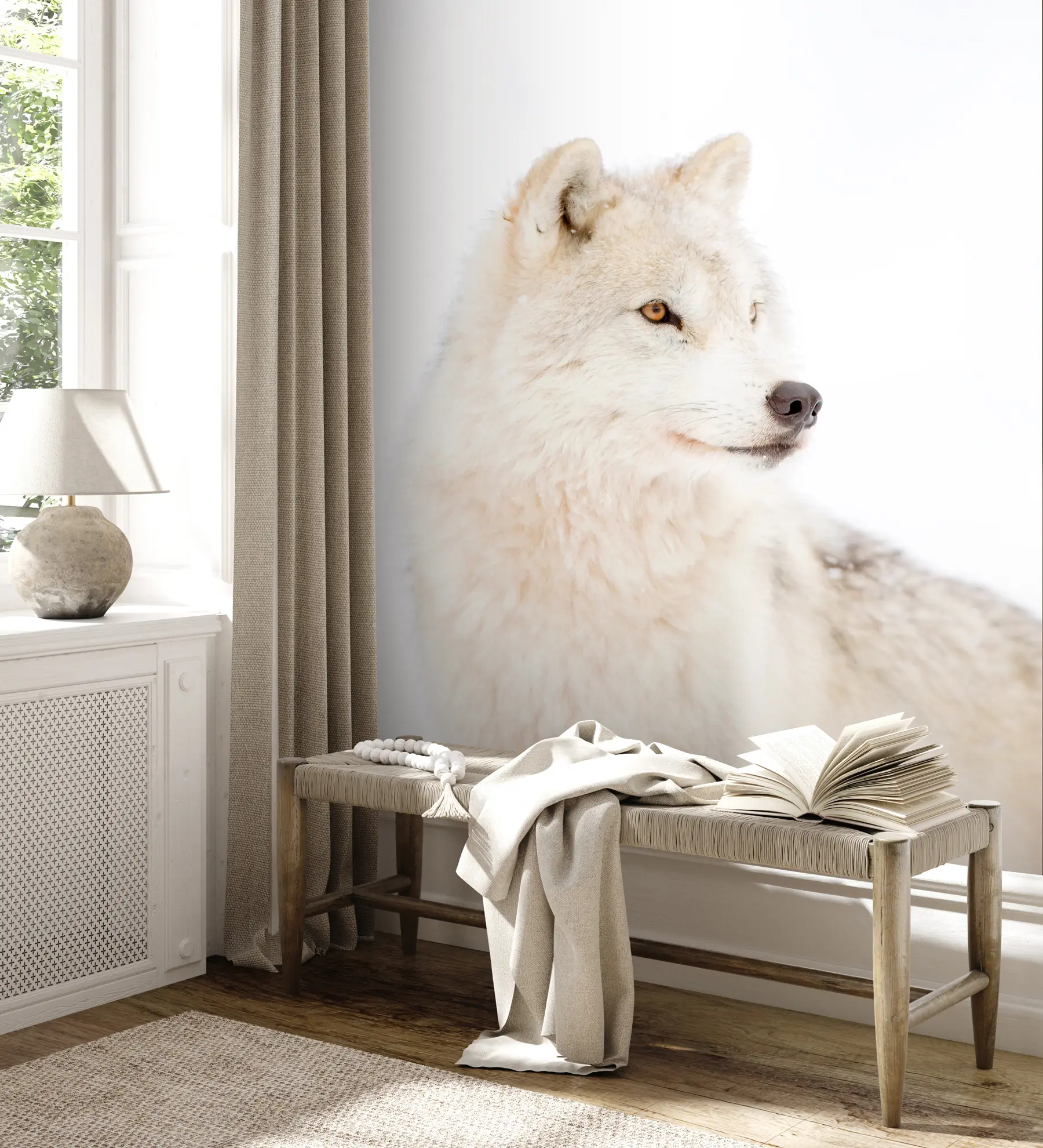 wall murals Arctic wolf on white background u98189