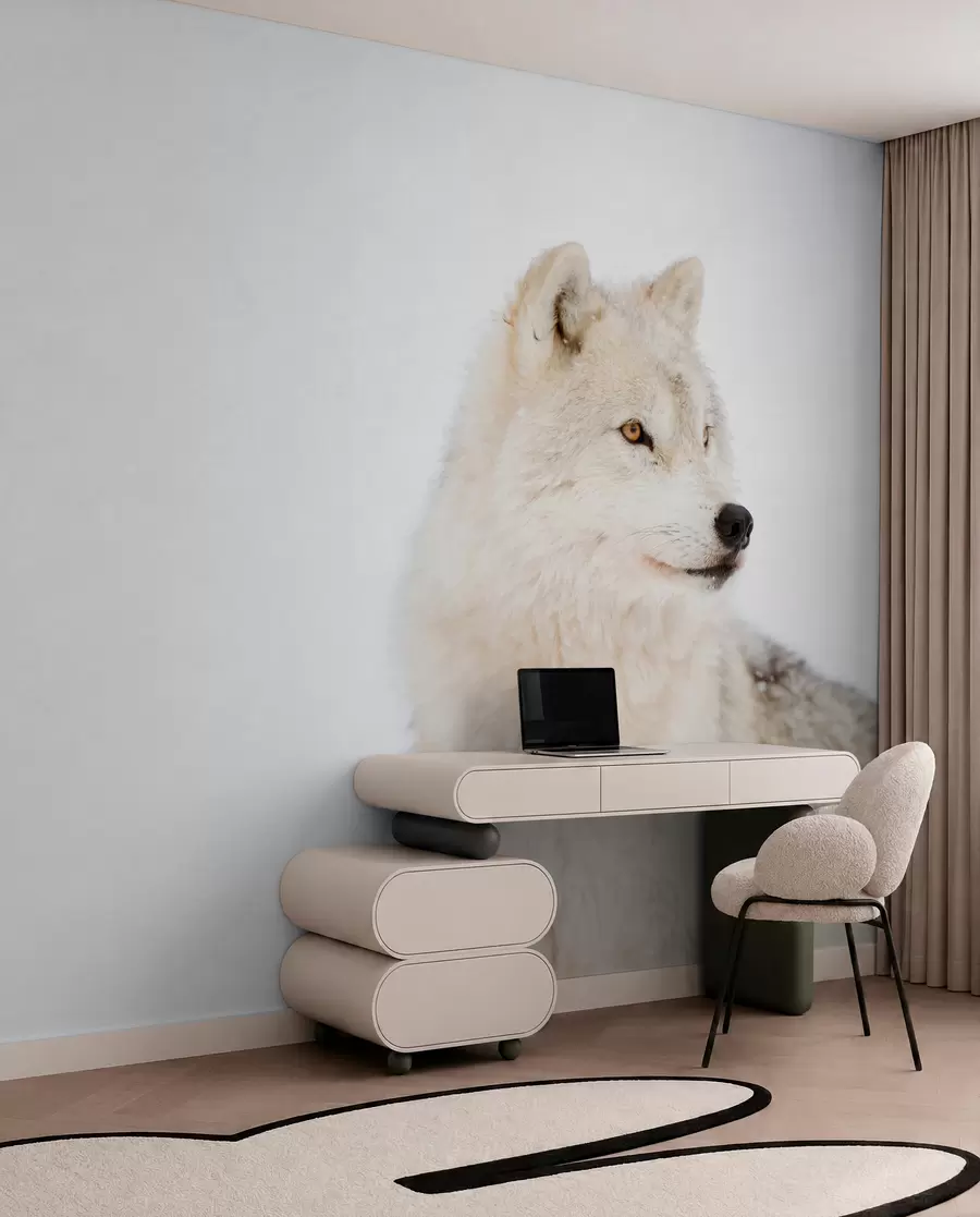 wall murals Arctic wolf on white background u98189