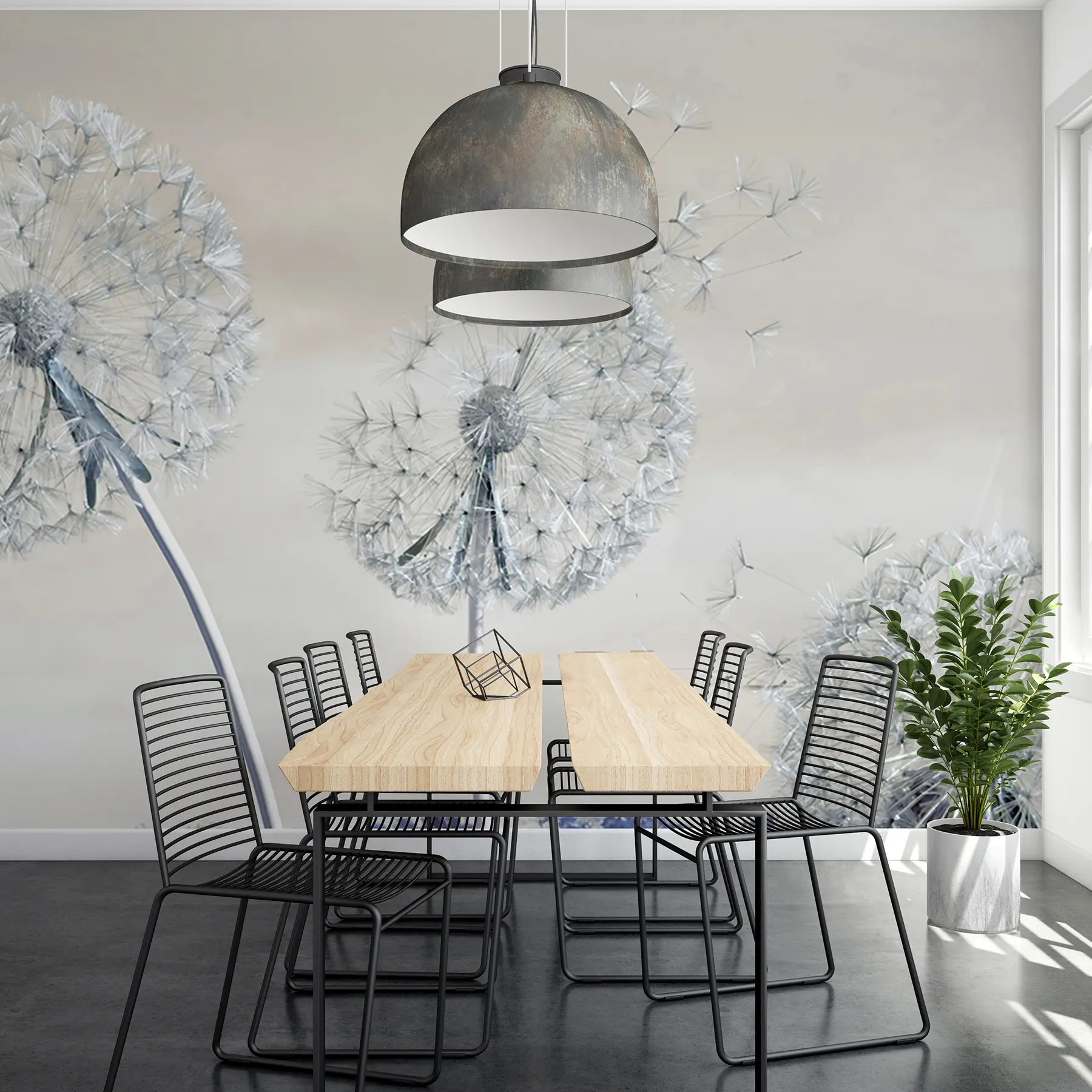 wall murals Large dandelions u44628v1